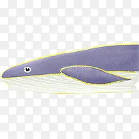 紫色手绘简约鲸鱼
