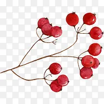 卡通手绘红色的果子