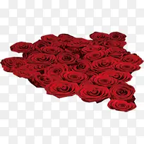 红色玫瑰婚纱展板