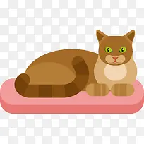 坐在粉色垫子上的猫咪