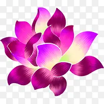创意手绘质感紫色的莲花效果