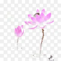 紫色淡雅水墨画荷花中秋