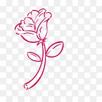 粉色线条玫瑰