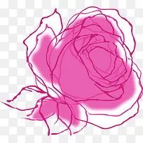 手绘粉色线条玫瑰
