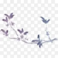 花卉