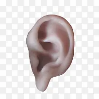 一只耳朵