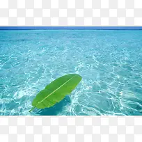 水面上的宽大绿叶海报背景