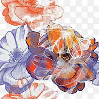 美丽的花朵