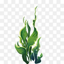 绿色宽叶子海洋植物