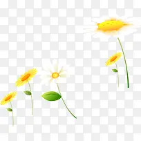 春日唯美意境小花植物
