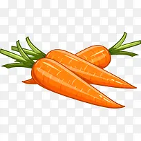 胡萝卜俯视蔬菜