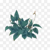 免抠手绘青色花叶子