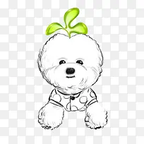 小草比熊犬
