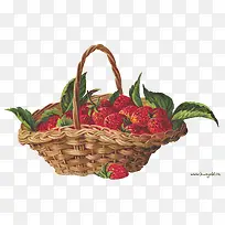 手绘篮子草莓