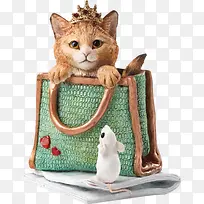 包中的小猫