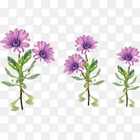 紫色唯美春天草地花朵