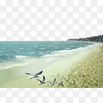 大海和海燕