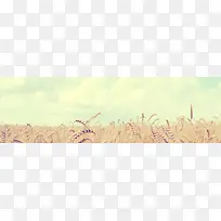 蓝色天空稻田图片