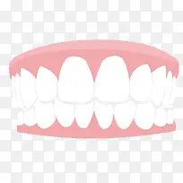 粉白色矢量卡通牙齿
