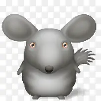 灰色老鼠