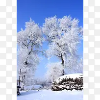 白色霜冻树枝美景