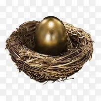 创意鸟巢中的金蛋