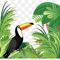 热带雨林鸟