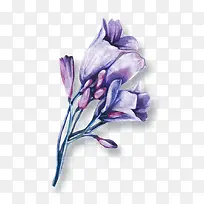 紫色手绘花朵