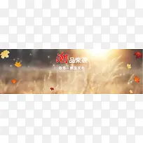 枫叶背景