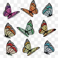 手绘多种蝴蝶