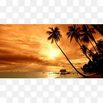 夕阳椰树海滩七夕