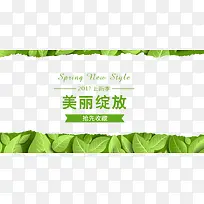 2017春季上新