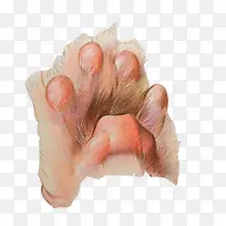 小猫爪手绘色彩画素材图片