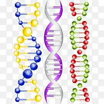 矢量彩色基因结构