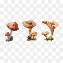 卡通灵芝蘑菇