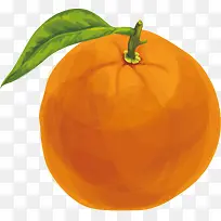 矢量图橙色的橘子
