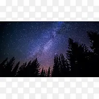 松林景观星空银河唯美图