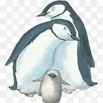 企鹅一家人