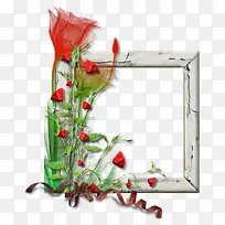 玫瑰花和画框