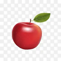 矢量红色逼真大苹果