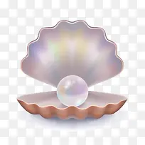 矢量珍珠壳