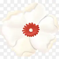 白色花朵