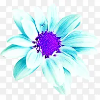 创意合成蓝色的花卉植物