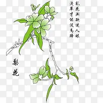 题字花图