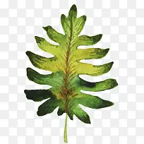 绿色手绘热带植物