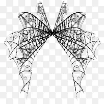 网状翅膀