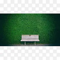绿色绿草背景白色长凳