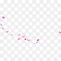 散落的粉色花瓣中秋