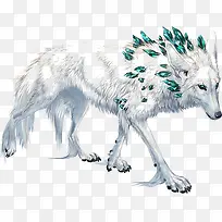 白狼