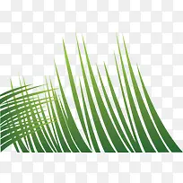 绿色椰叶矢量图